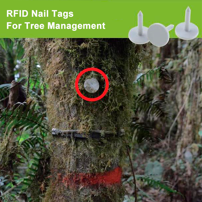 What Are the Applications of Rugged RFID Nail Tags?