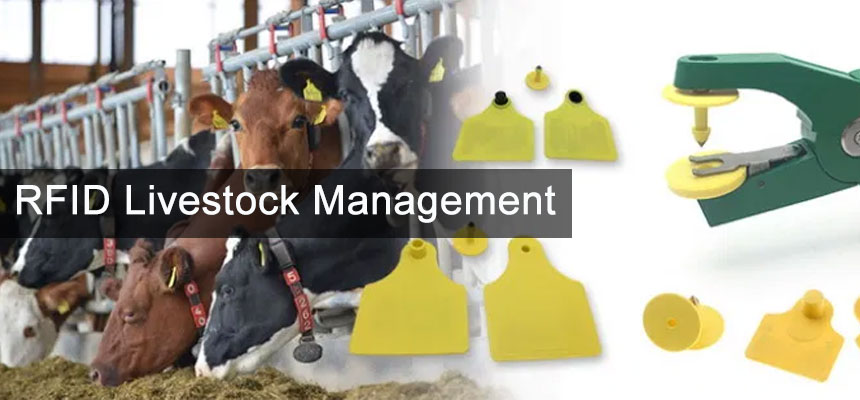 RFID technology livestock management for farm
