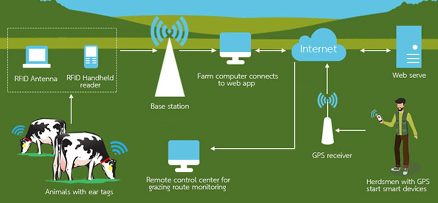 RFID animal husbandry management solutions and implementation