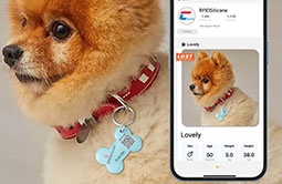 Tap NFC Pet Tag RS-PT007 to quickly get owner information