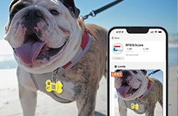 Readable via NFC or QR code access to owners contact info.