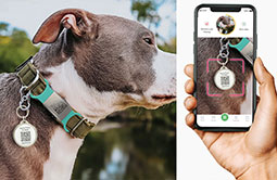 Scannable Metal Edge NFC Smart Dog Tag QR Code Tag