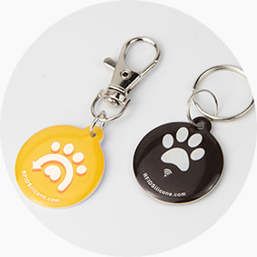 Fashionable Double Sided Epoxy Glue NFC Pet ID Tags RS-PT013
