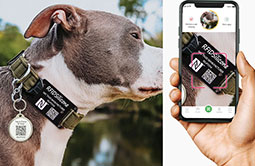 RS-PT014 NFC Silicone Pet Tags with QR Code Scanning