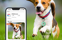 Tap full epoxy anti-lost NFC & QR code dog tag to get pet information