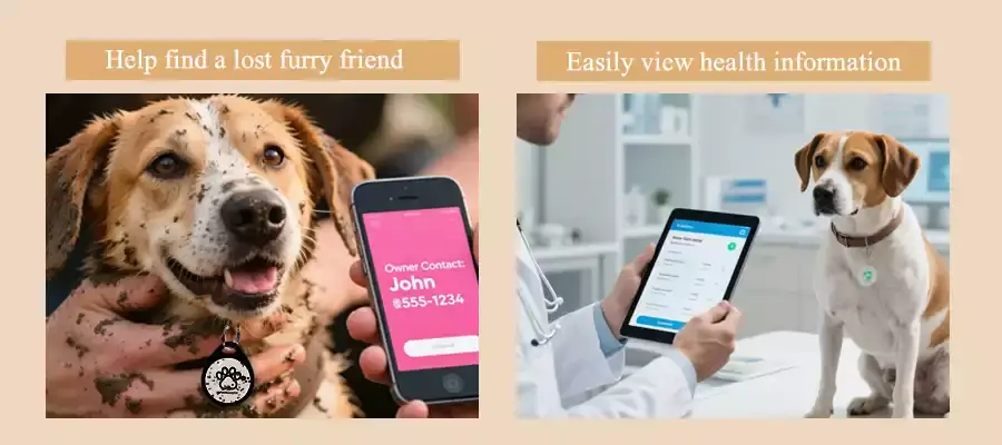 the application scenario of nfc pet id tags