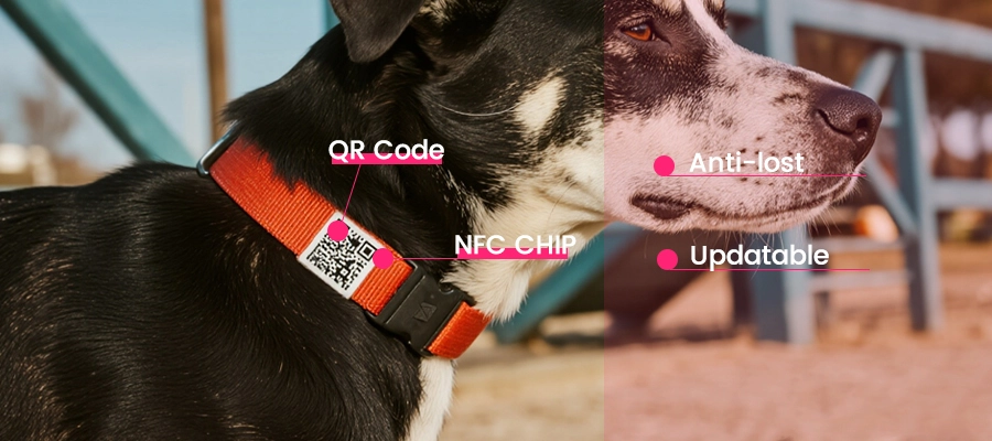 what is nfc qr code pet collar