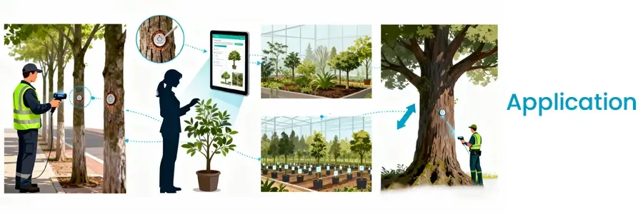 the application of rfid nail tag